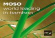MOSO world leading in bamboo