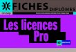 Les licences professionnelles en Aquitaine