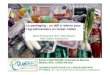 Le packaging : un défi à relever pour l'agroalimentaire en Océan 