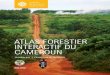 ATLAS FORESTIER INTERACTIF DU CAMEROUN