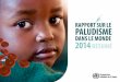 Rapport 2014 sur le paludisme dans le monde - résumé