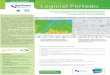 Logiciel PORTEAU - dimensionnement irrigation d'un reseau d'eau