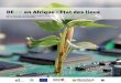 DEee en Afrique : Etat des lieux