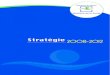 ministère de la santé : stratégie 2008-2009