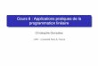 Cours 8 : Applications pratiques de la programmation linéaire