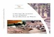 L'élevage du mouton et ses systèmes de production au Maroc