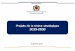 Projets de la vision stratégique 2015-2030