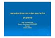 Organisation des Soins Palliatifs en EHPAD – Dr Ducornez