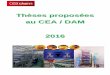 Thèses proposés au CEA/DAM 2016