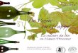 Catalogue d'exposition "De Vigne en Grappe"