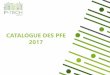 Catalogue des PFE 2017.pdf