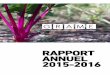 Rapport annuel 2015-2016 (pdf)
