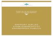 Rapport sur les Etablissements et Entreprises Publics (PLF 2017)