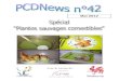 PCDNews 42 - Spécial Plantes sauvages - Version consultable.pdf