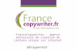 Présentation Francecopywriter Seo Campus Nantes 20/02/2016