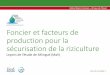 Foncier et facteurs de production pour la sécurisation de la riziculture : Leçons de l’étude de Sélingué (Mali)