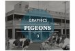 Graphic pigeons