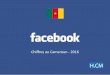 Chiffres Facebook Cameroun 2016