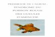 Pressbook - Gueules d'aminche (Le syndrome du poisson rouge)