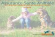 L'assurance Santé Animale