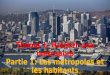 Habiter une métropole : les métropoles et leurs habitants