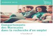 Viadeo   enquete comportements des marocains dans la recherche d'un emploi