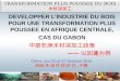 Developper l’industrie du bois pour une transformation plus poussee en Afrique Centrale, Cas du Gabon (Deep processing policy, Gabon)