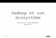 Hadoop et son écosystème
