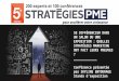 Presentation Skyline pour Strategie PME 2016