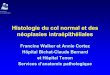 Histologie du col normal et des néoplasies intraépithéliales