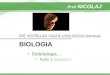 @bionicolaj Embrio human 01