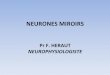 neurones miroirs 2014