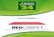Gazon synthetique Red Carpet - Gazonsynthetique24.com