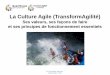 Culture agile - 4 valeurs, 8 techniques, 10 principes