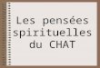 Chat spirituel