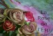 104 la rose_de_l'espoir