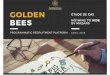 Etude de cas Golden bees - Nothing To Hide by MAZARS -  Avril 2016