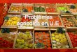Problèmes agricoles en Union Européenne