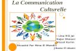 Communication culturelle