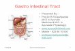 Gastro Intestinal Tract