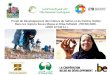 Capitalisation dans le Projet de Développement des Filières du Safran et du Palmier Dattier  au Maroc - Olivier Legros (CTB Maroc)