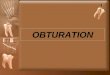 7. obturation