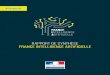 Rapport synthese france_ia_2017
