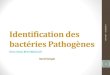 Identification des bactéries pathogènes en bactériologie clinique