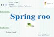 Spring roo _Presentation