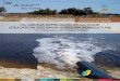 LA «NEXUS APPROACH» ET LA SAINE UTILISATION DES EAUX · PDF fileEtat des lieux de l’irrigation en eaux usées en Tunisie ... Intéressée par les contaminants émergeant dans les