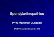 spondylarthropathies - samer-dz.orgsamer-dz.org/file_download/48/1-+Spondylarthropathies.pdf · - compression médullaire ( par fracture C1 –C2 , spondylodiscite ... Spondylarthrite