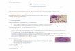 Toxoplasmose - pharmaetudes.com internat/section4/15... · Elle est basée sur la détection et la surveillance de l’évolution des Ac anti-toxo ( IgM et IgG ) dont