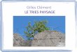 Gilles Clément LE TRIES PAYSAGE - …homepage.univie.ac.at/madalina.diaconu/Daten/Turic_Third_Landscape… · Quellen Gilles Clément jardinier, le jardin en mouvement, je jardin