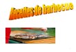 Recettes de barbecue - barbecue.rotissoir.free.frbarbecue.rotissoir.free.fr/pdf/Recettes_de_barbecue.pdf · 3/ Enduire la grille du barbecue d'huile d'olive. Griller les brochettes
